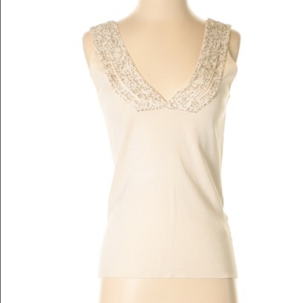 Silk Ann Taylor Top